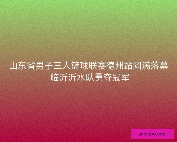 山东省男子三人篮球联赛德州站圆满落幕 临沂沂水队勇夺冠军