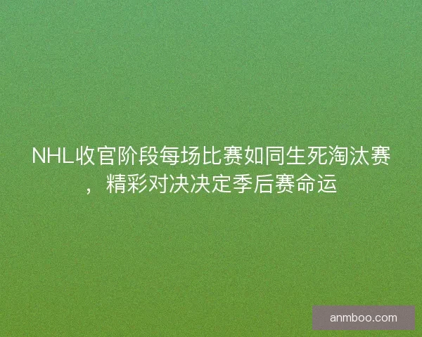 NHL收官阶段每场比赛如同生死淘汰赛，精彩对决决定季后赛命运